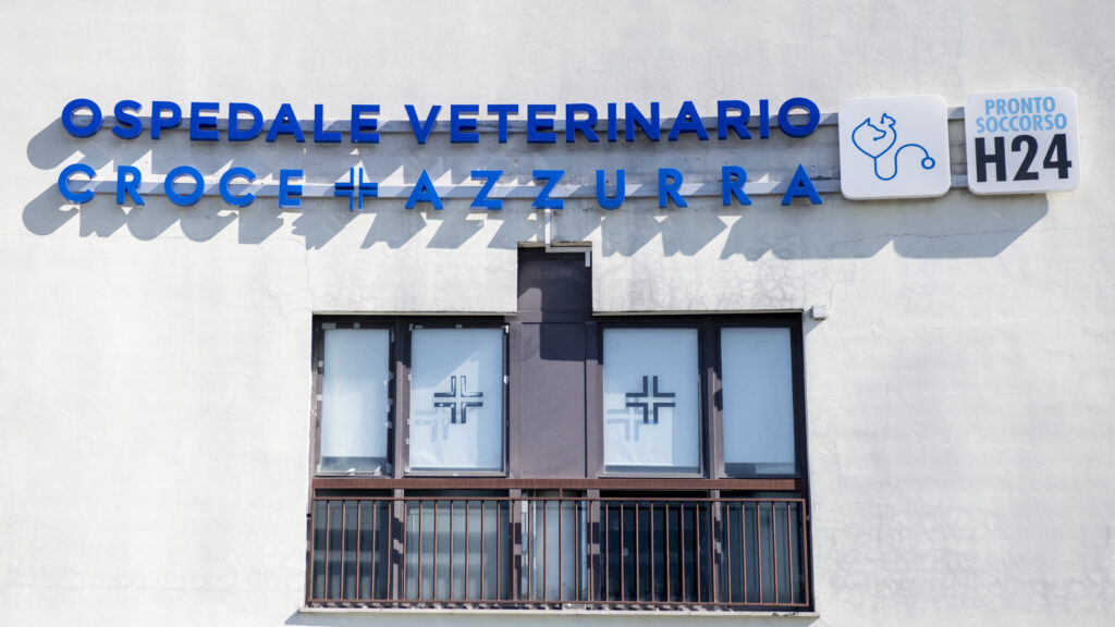 ospedale-veterinario-pronto-soccorso-roma