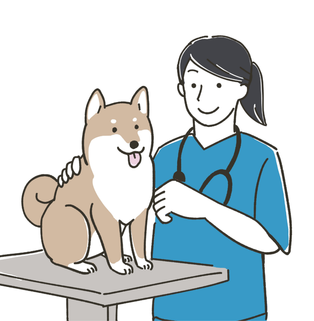 Avatar Dottoressa Veterinaria