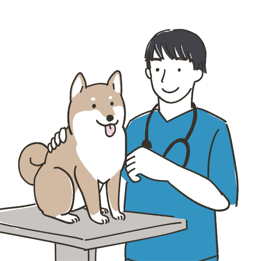 Avatar Medico Veterinario