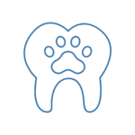 odontostomalogia-roma