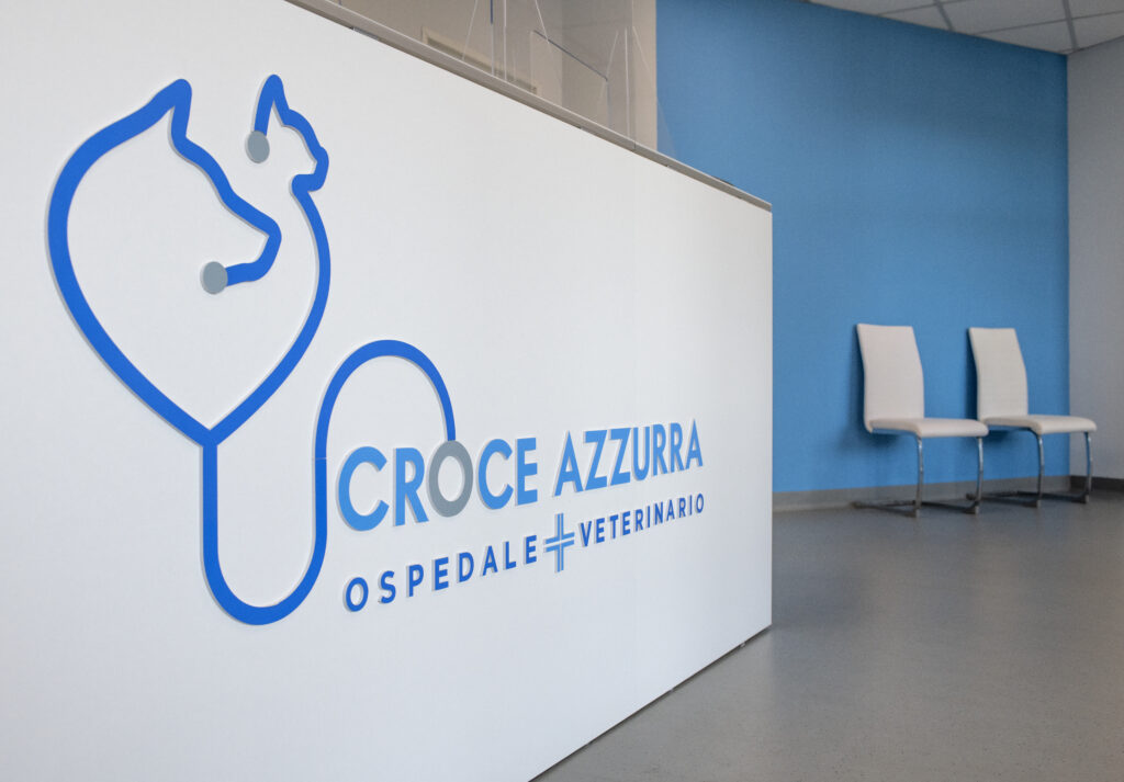 ospedale-veterinario-croce-azzurra-roma