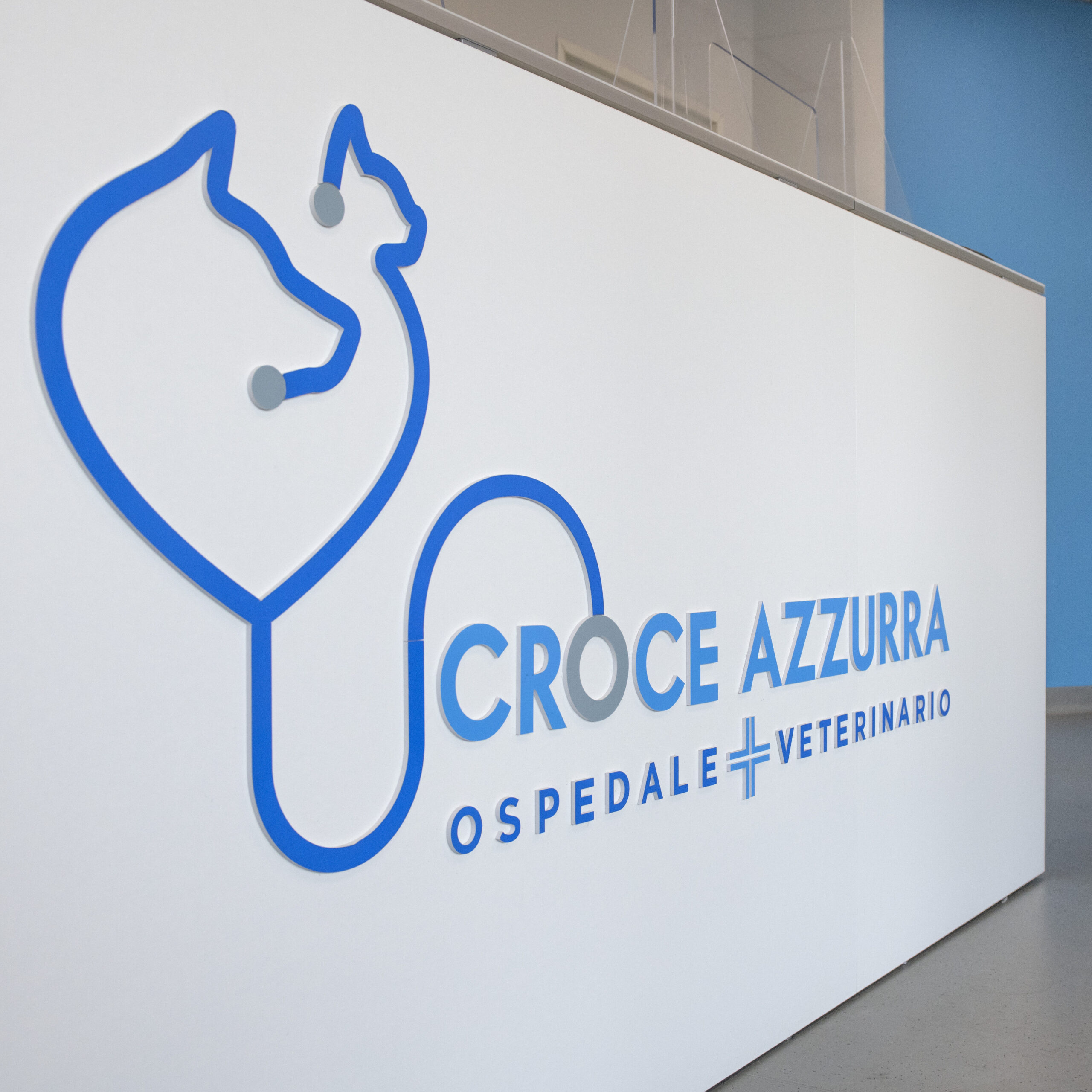 ospedale-veterinario-croce-azzurra-roma Ingresso dell'Ospedale Veterinario Croce Azzurra a Roma Sud Municipio IX