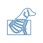 radiologia-veterinaria-roma Icona di un cane sottoposto a esame radiografico, con evidenza della zona toracica schermata.