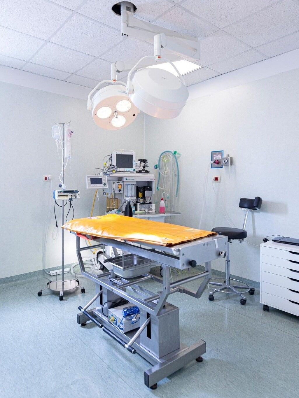 sala-chirurgia-veterinaria Una delle sale chirurgiche per il servizio di chirurgia di base e specialistica dell'Ospedale Croce Azzurra a Roma